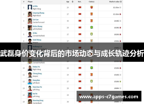 武磊身价变化背后的市场动态与成长轨迹分析 武磊身价变化背后的市场动态与成长轨迹分析