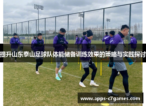 提升山东泰山足球队体能储备训练效果的策略与实践探讨