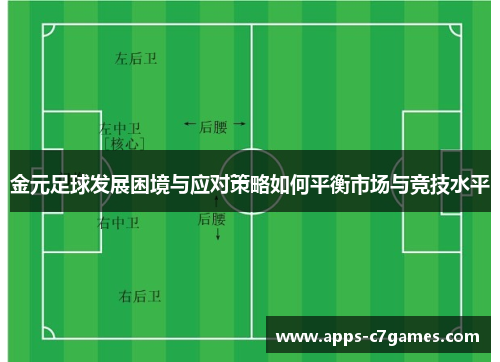 金元足球发展困境与应对策略如何平衡市场与竞技水平 金元足球发展困境与应对策略如何平衡市场与竞技水平